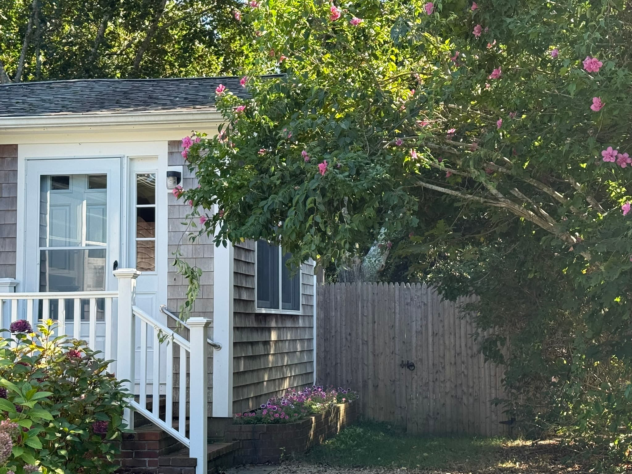Holly Tree Haven — photo 1
