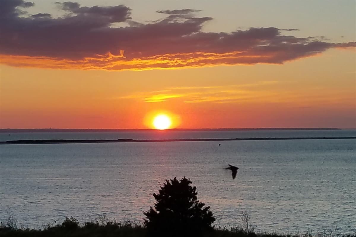 Sunset from the Main House