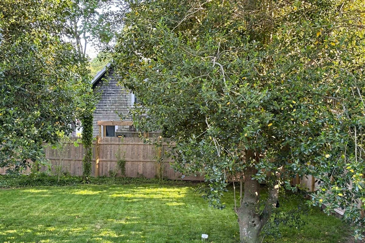 Holly Tree Haven — photo 15