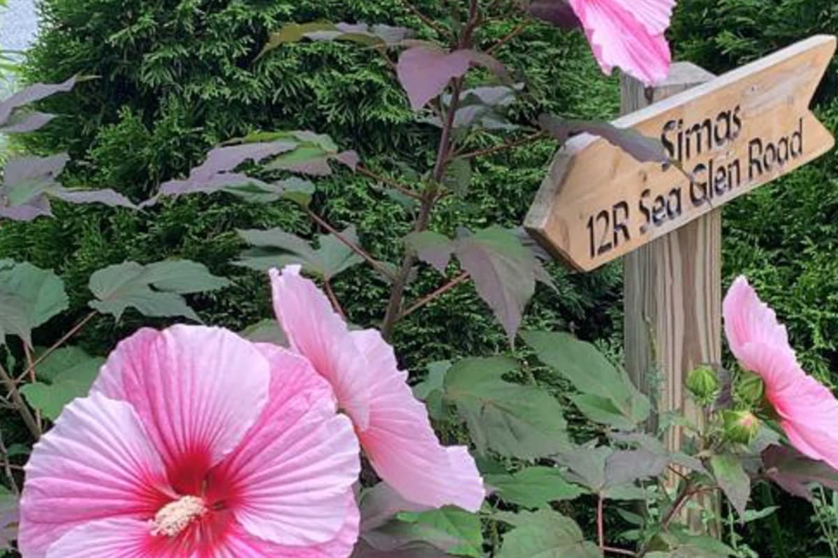 Sea Glenn Flowers — photo 4